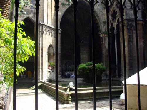 Barcelona-hiszpania-krużganki katedry św.Eulalii #BARCELONA #MIASTA #KATEDRY #KRUŻGANKI