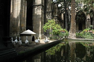 Barcelona-hiszpania-krużganki katedry św.Eulalii #BARCELONA #MIASTA #KATEDRY #KRUŻGANKI