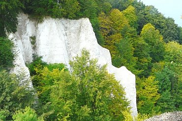 Zbliżenie kredowych urwisk. #klif #parki
