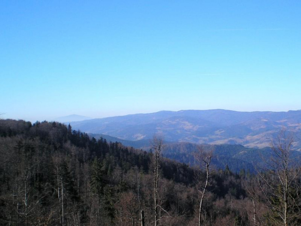 Widok na Turbacz, Kiczorę, Jaworzynę Kamienicką ze szlaku na Lubań (od przeł. Knurowskiej) #góry #beskidy
