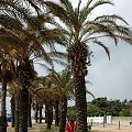 SANTA SUSANNA -COSTA BRAVA-wybrzeże Morza Śródziemnego #SANTASUSANNA #MIASTA #MORZA