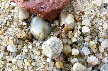 trochę piasku :D #kamyki #piasek