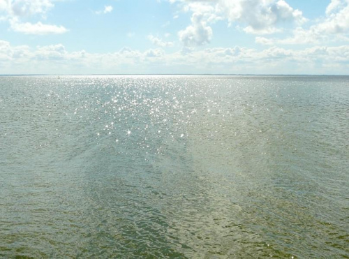Widok na Zalew Szczeciński z plaży w Kamminke. #morze