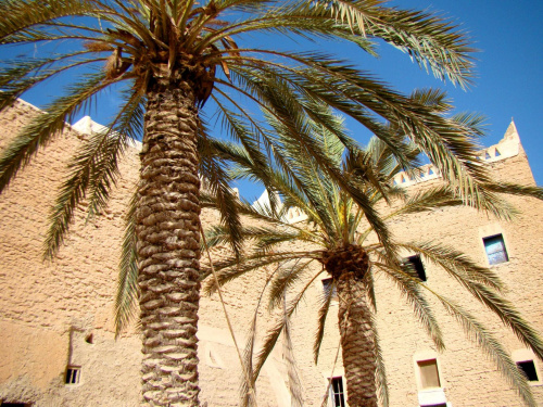 Ghadames - Perła Sahary wciągnięte na listę Światowego Dziedzictwa