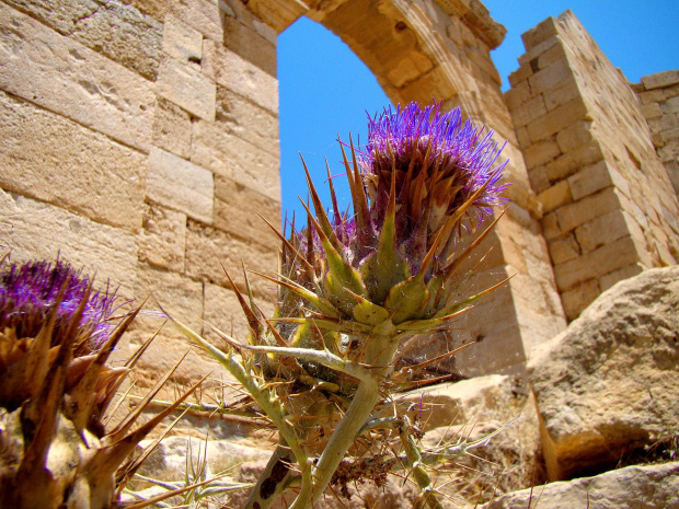 Leptis Magna