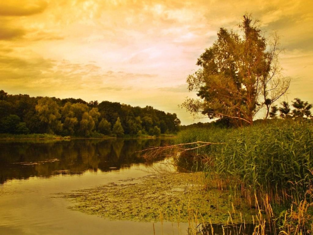 nad rzeką