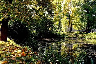 Na przekór listopadowej nostalgii..;) #odbicia #staw #jesień #kolory