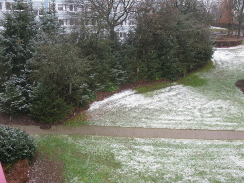 śnieg w listopadzie