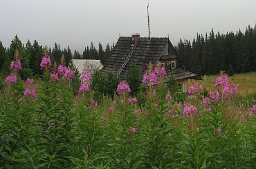 #Tatry #góry #GórskieSzlaki