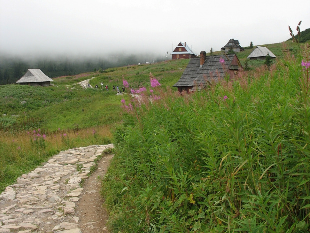 #Tatry #góry #GórskieSzlaki