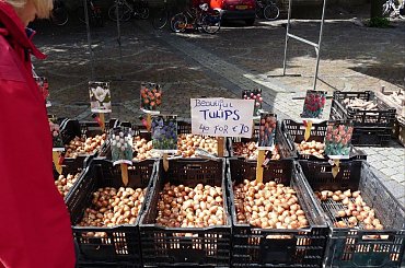 #Alkmaar #Holandia #Targ #Sery #Miasto #TheWaag