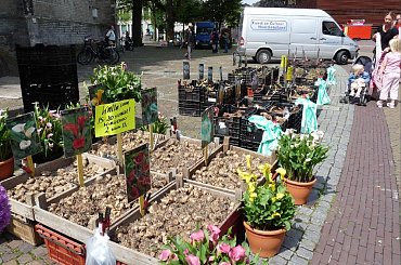 #Alkmaar #Holandia #Targ #Sery #Miasto #TheWaag