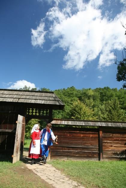 sesja fotograficzna ZTL SANOK w sanockim skansenie - sierpień2010 #sesja #skansen #ZTL #SANOK #Zespół #Tańca #Ludowego #sierpień #lato #Janusz #Podkul #Nater