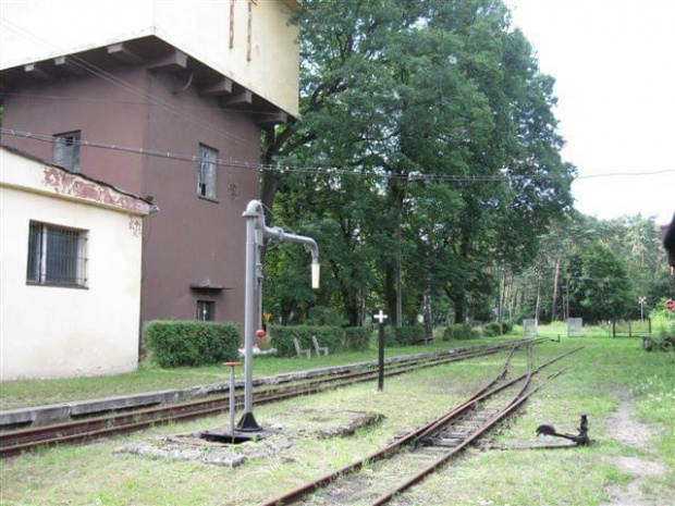 Kolej wąskotorowa w Rudach #RudyWąskotorówka