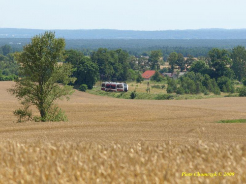 SA132-009 w drodze do Wałcza. #kolej #PKP #SA132 #lato #Piła