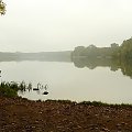 Poznań, jezioro Rusałka w jesiennej mgle. #jeziora