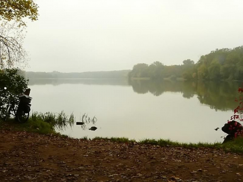 Poznań, jezioro Rusałka w jesiennej mgle. #jeziora