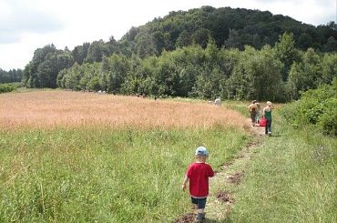JURA KRAK_CZESTOCH. Spacer Doliną Wodzącą #jura #pustynia #Polska