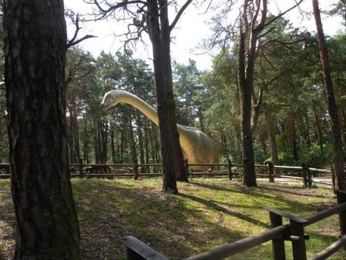 JURA PARK Solec Kujawski 15.07.2009 #dinozaury #ParkJurajski #wakacje