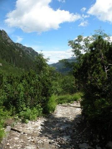 Wycieczka z Łysej Polany przez Schronisko w DolRoztoki do Doliny Roztoki , Wodospad Siklawa, Dolina Pieciu Stawow Polskich do Morskiego Oka, do Łysej Polany #tatry #góry #lato