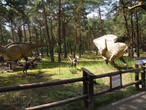 JURA PARK Solec Kujawski 15.07.2009 #dinozaury #ParkJurajski #wakacje