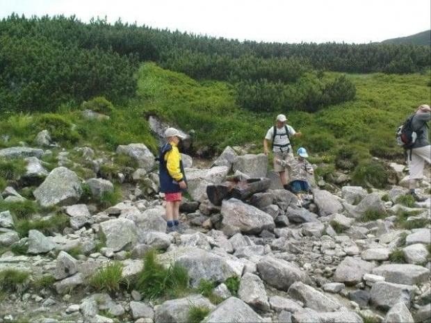 Na Kasprowy wjechalismy kolejka i schodzilismy przez Halę Gąsienicową do Kuźnic przez Boczań #tatry #góry #lato