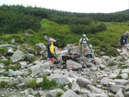 Na Kasprowy wjechalismy kolejka i schodzilismy przez Halę Gąsienicową do Kuźnic przez Boczań #tatry #góry #lato