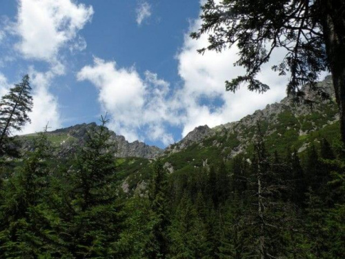 Wycieczka z Łysej Polany przez Schronisko w DolRoztoki do Doliny Roztoki , Wodospad Siklawa, Dolina Pieciu Stawow Polskich do Morskiego Oka, do Łysej Polany #tatry #góry #lato