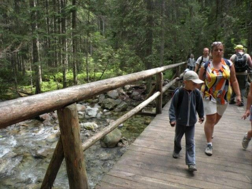 Wycieczka z Łysej Polany przez Schronisko w DolRoztoki do Doliny Roztoki , Wodospad Siklawa, Dolina Pieciu Stawow Polskich do Morskiego Oka, do Łysej Polany #tatry #góry #lato