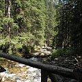 Wycieczka z Łysej Polany przez Schronisko w DolRoztoki do Doliny Roztoki , Wodospad Siklawa, Dolina Pieciu Stawow Polskich do Morskiego Oka, do Łysej Polany #tatry #góry #lato