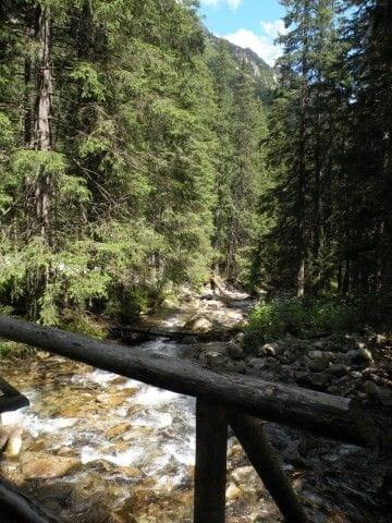 Wycieczka z Łysej Polany przez Schronisko w DolRoztoki do Doliny Roztoki , Wodospad Siklawa, Dolina Pieciu Stawow Polskich do Morskiego Oka, do Łysej Polany #tatry #góry #lato