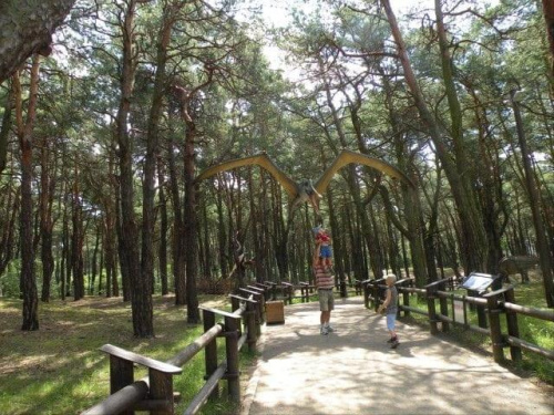 JURA PARK Solec Kujawski 15.07.2009 #dinozaury #ParkJurajski #wakacje