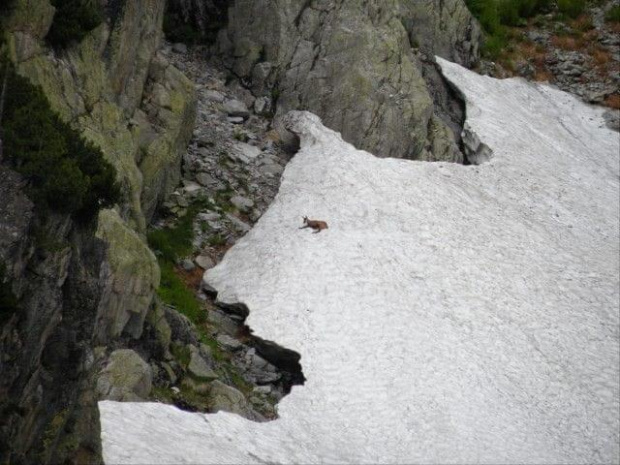 Wycieczka z Łysej Polany przez Schronisko w DolRoztoki do Doliny Roztoki , Wodospad Siklawa, Dolina Pieciu Stawow Polskich do Morskiego Oka, do Łysej Polany #tatry #góry #lato