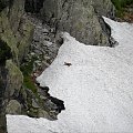 Wycieczka z Łysej Polany przez Schronisko w DolRoztoki do Doliny Roztoki , Wodospad Siklawa, Dolina Pieciu Stawow Polskich do Morskiego Oka, do Łysej Polany #tatry #góry #lato