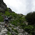 Wycieczka z Łysej Polany przez Schronisko w DolRoztoki do Doliny Roztoki , Wodospad Siklawa, Dolina Pieciu Stawow Polskich do Morskiego Oka, do Łysej Polany #tatry #góry #lato