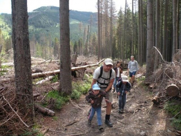 Wycieczka z Łysej Polany przez Schronisko w DolRoztoki do Doliny Roztoki , Wodospad Siklawa, Dolina Pieciu Stawow Polskich do Morskiego Oka, do Łysej Polany #tatry #góry #lato