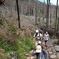 Wycieczka z Łysej Polany przez Schronisko w DolRoztoki do Doliny Roztoki , Wodospad Siklawa, Dolina Pieciu Stawow Polskich do Morskiego Oka, do Łysej Polany #tatry #góry #lato