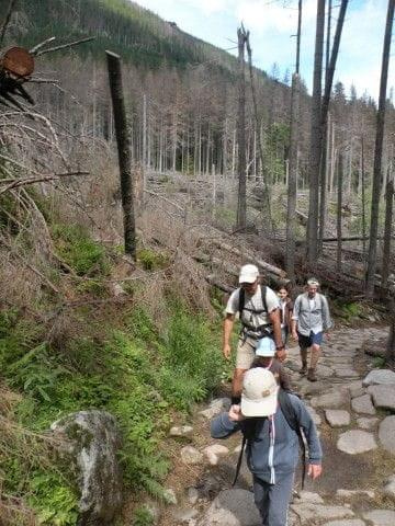 Wycieczka z Łysej Polany przez Schronisko w DolRoztoki do Doliny Roztoki , Wodospad Siklawa, Dolina Pieciu Stawow Polskich do Morskiego Oka, do Łysej Polany #tatry #góry #lato