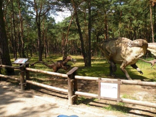 JURA PARK Solec Kujawski 15.07.2009 #dinozaury #ParkJurajski #wakacje