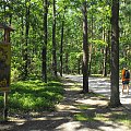 Gołuchów, lato 2009, Ośrodek Kultury Leśniej i zamek w Gołuchowie, Wielkopolski Park Narodowy