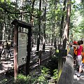 Gołuchów, lato 2009, Ośrodek Kultury Leśniej i zamek w Gołuchowie, Wielkopolski Park Narodowy