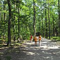 Gołuchów, lato 2009, Ośrodek Kultury Leśniej i zamek w Gołuchowie, Wielkopolski Park Narodowy