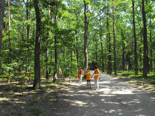 Gołuchów, lato 2009, Ośrodek Kultury Leśniej i zamek w Gołuchowie, Wielkopolski Park Narodowy