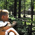 Gołuchów, lato 2009, Ośrodek Kultury Leśniej i zamek w Gołuchowie, Wielkopolski Park Narodowy