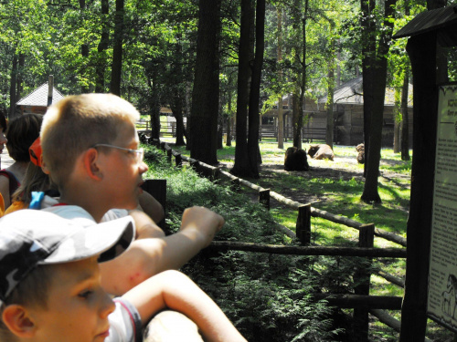 Gołuchów, lato 2009, Ośrodek Kultury Leśniej i zamek w Gołuchowie, Wielkopolski Park Narodowy