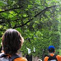 Gołuchów, lato 2009, Ośrodek Kultury Leśniej i zamek w Gołuchowie, Wielkopolski Park Narodowy