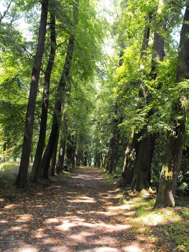 Gołuchów, lato 2009, Ośrodek Kultury Leśniej i zamek w Gołuchowie, Wielkopolski Park Narodowy