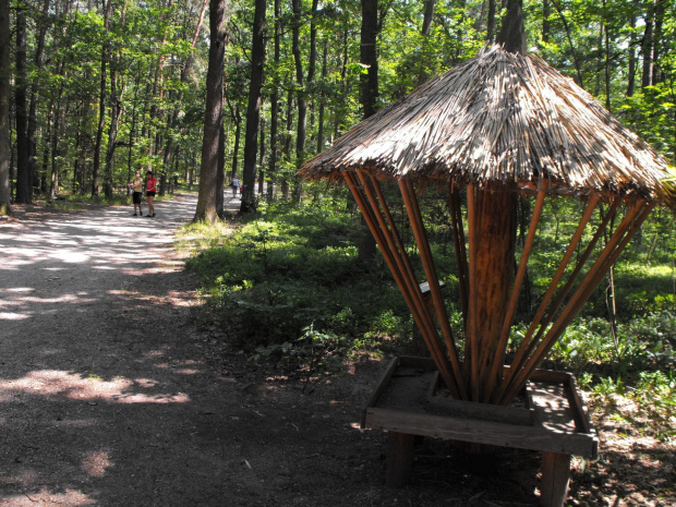 Gołuchów, lato 2009, Ośrodek Kultury Leśniej i zamek w Gołuchowie, Wielkopolski Park Narodowy