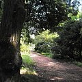 Gołuchów, lato 2009, Ośrodek Kultury Leśniej i zamek w Gołuchowie, Wielkopolski Park Narodowy