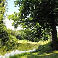 Gołuchów, lato 2009, Ośrodek Kultury Leśniej i zamek w Gołuchowie, Wielkopolski Park Narodowy